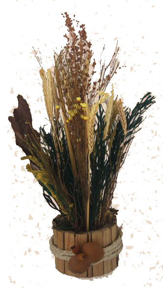 Arranjo natural 1